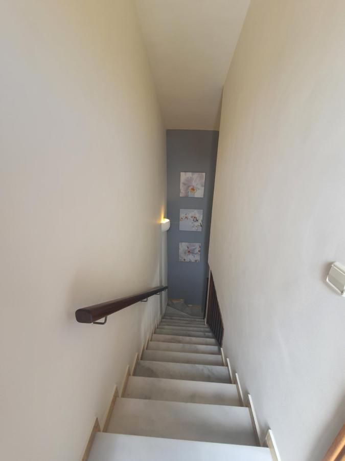 Apartamento Frida Faro Park 普拉亚布兰卡 外观 照片
